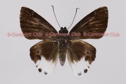 191002Eb13SW