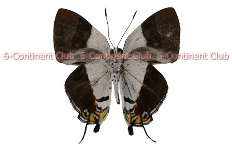 250428Eb10mrSW