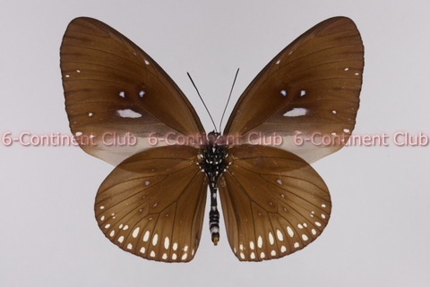 200825Eb08SW