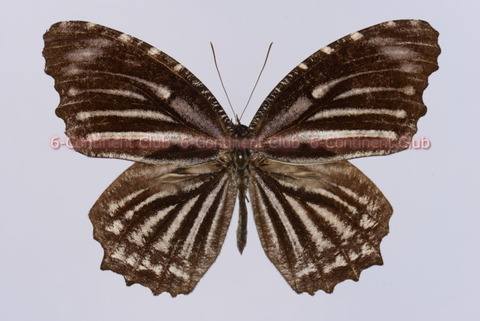 211012Eb03SW