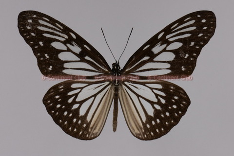200825Eb05S