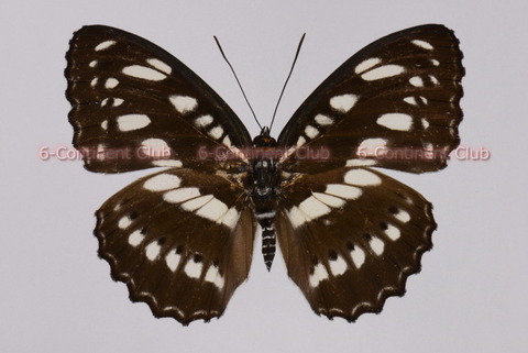 191017Eb07SW