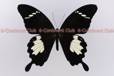 230802Eb01SW
