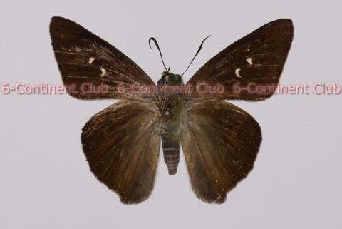 191114Eb21SW