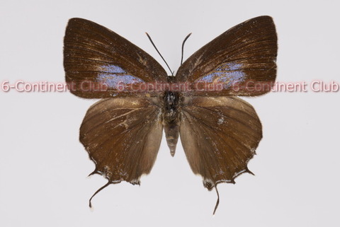 180828Eb07SW