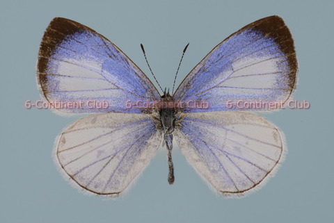 200813Eb03SW