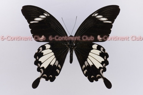 230802Eb02SW