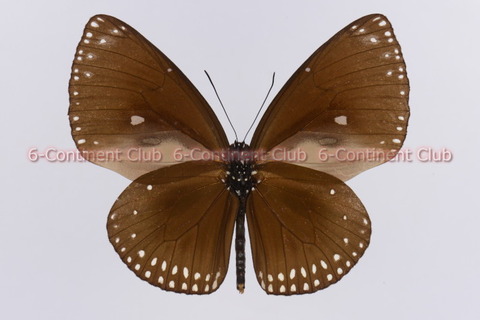 220618Eb22SW