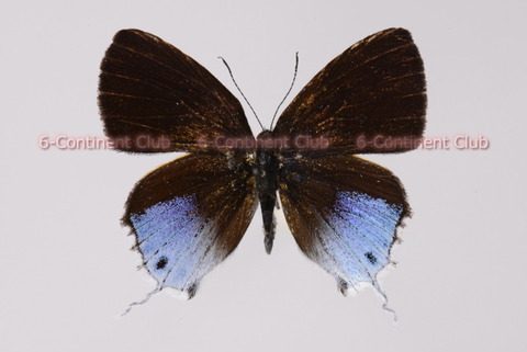 190115Eb09SW
