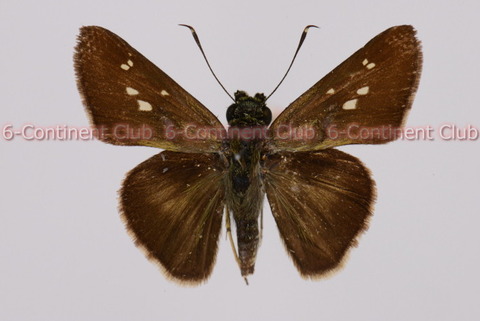 191111Eb09SW