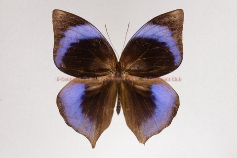 171212Eb07S