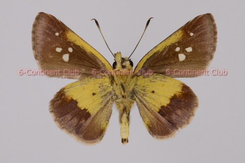 200805Eb24SW