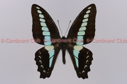 230720Eb07SW