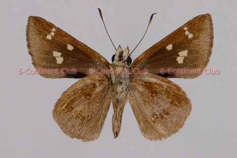 191216Eb20SW