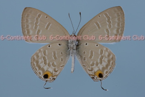 231129Eb02SW