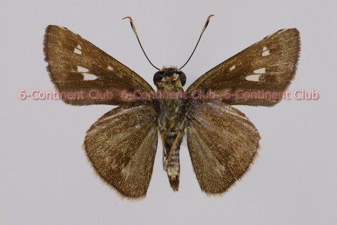 191216Eb08SW
