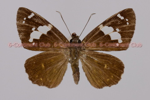 191114Eb19SW