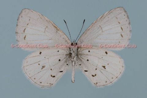 200813Eb04SW