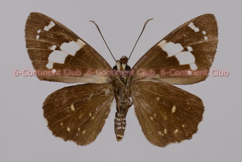 191114Eb20SW