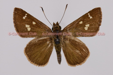 191216Eb19SW