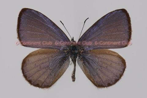 200517Eb01SW