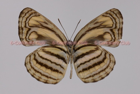 190115Eb22SW