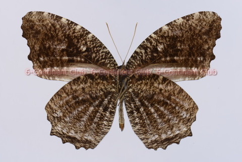 211012Eb04SW