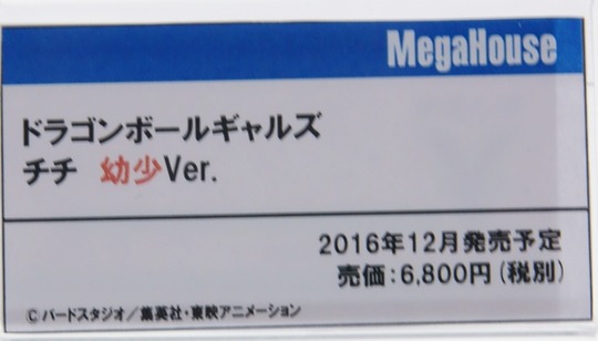 Megahobby2016A_mega22