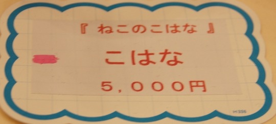 wf2016w_girl_カントリーガール04