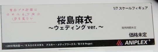 MegaHobby2019s_aniplex02