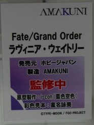 Megahobby_AMAKUNI20