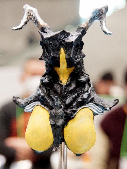 wf2016w_toku_cubist06