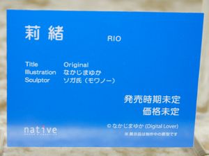 WF2020W_native12