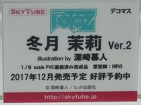 WF2017S_スカイチューブ02