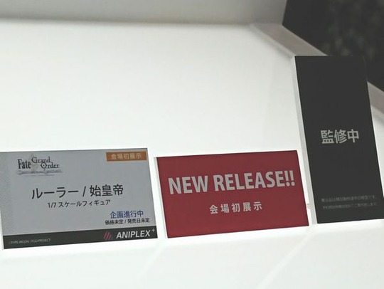 WF2020W_ANIPLEX11