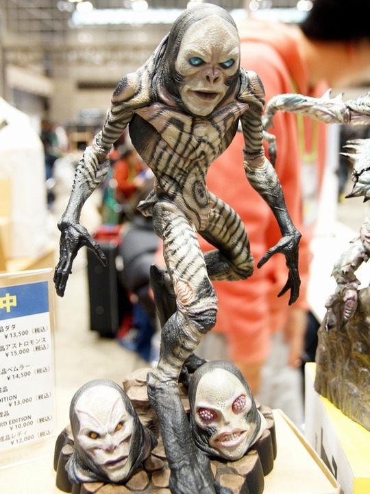 wf2016w_toku_ACRO02