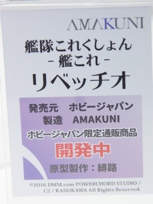 Megahobby2016A_AMAKUNI09