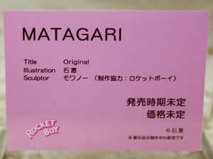 WF2020W_native99