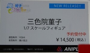Megahobby_ANIPLEX11