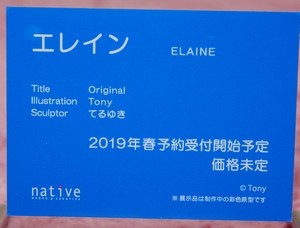 WF2019W_native_16