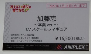 Megahobby_ANIPLEX03