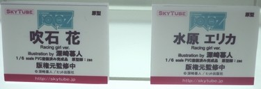 WF2017S_スカイチューブ06