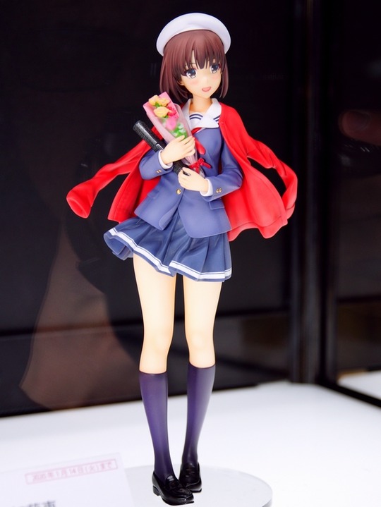 Megahobby_ANIPLEX01