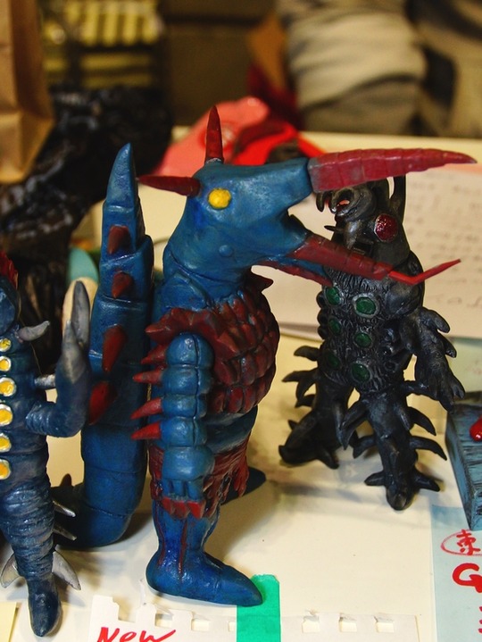 wf2020w_D's01