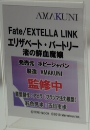 Megahobby_AMAKUNI18
