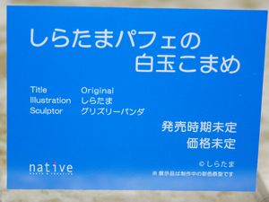 WF2020W_native06