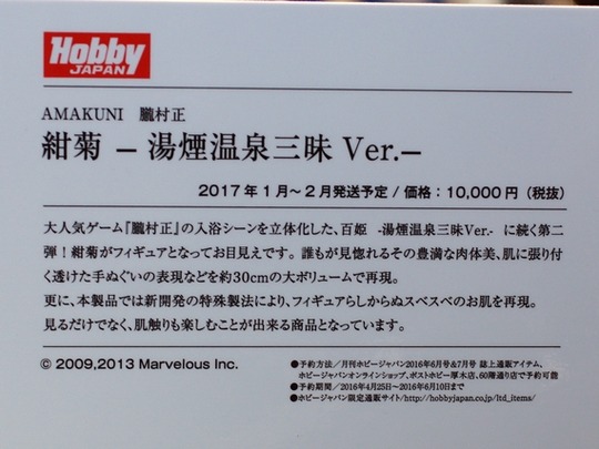 MegaHobby2016S_AMAKU05