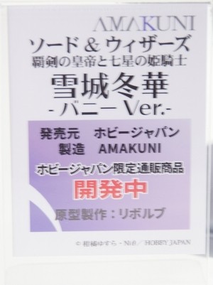 Megahobby2016A_AMAKUNI27