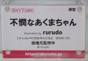 WF2019W_skytube_33