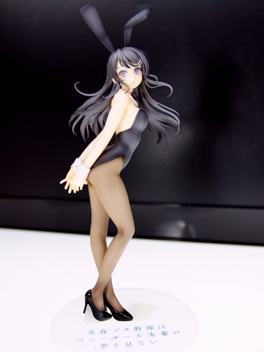 MegaHobby2019s_aniplex03